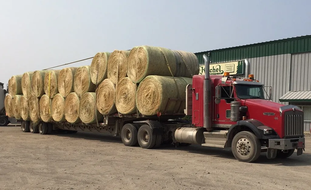 BC wildfires smoke and flames near evacuated community in British Columbia