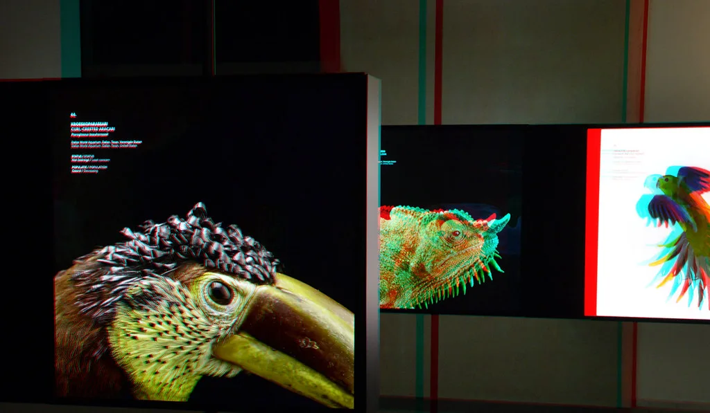 Photo Ark portrait style highlighting endangered animal against a black backdrop