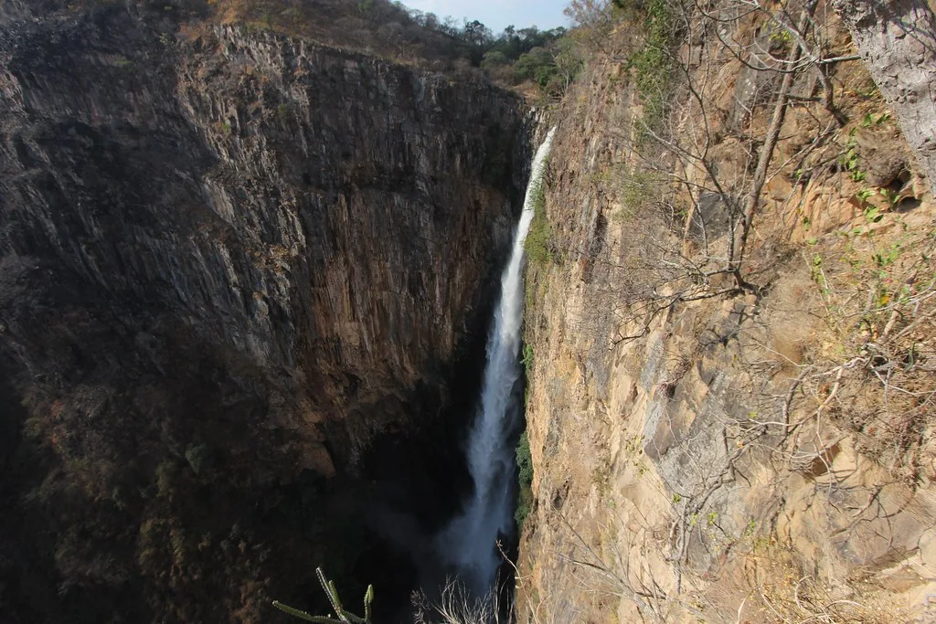 Detail of a 476,000-year-old wooden structure being excavated at Kalambo Falls